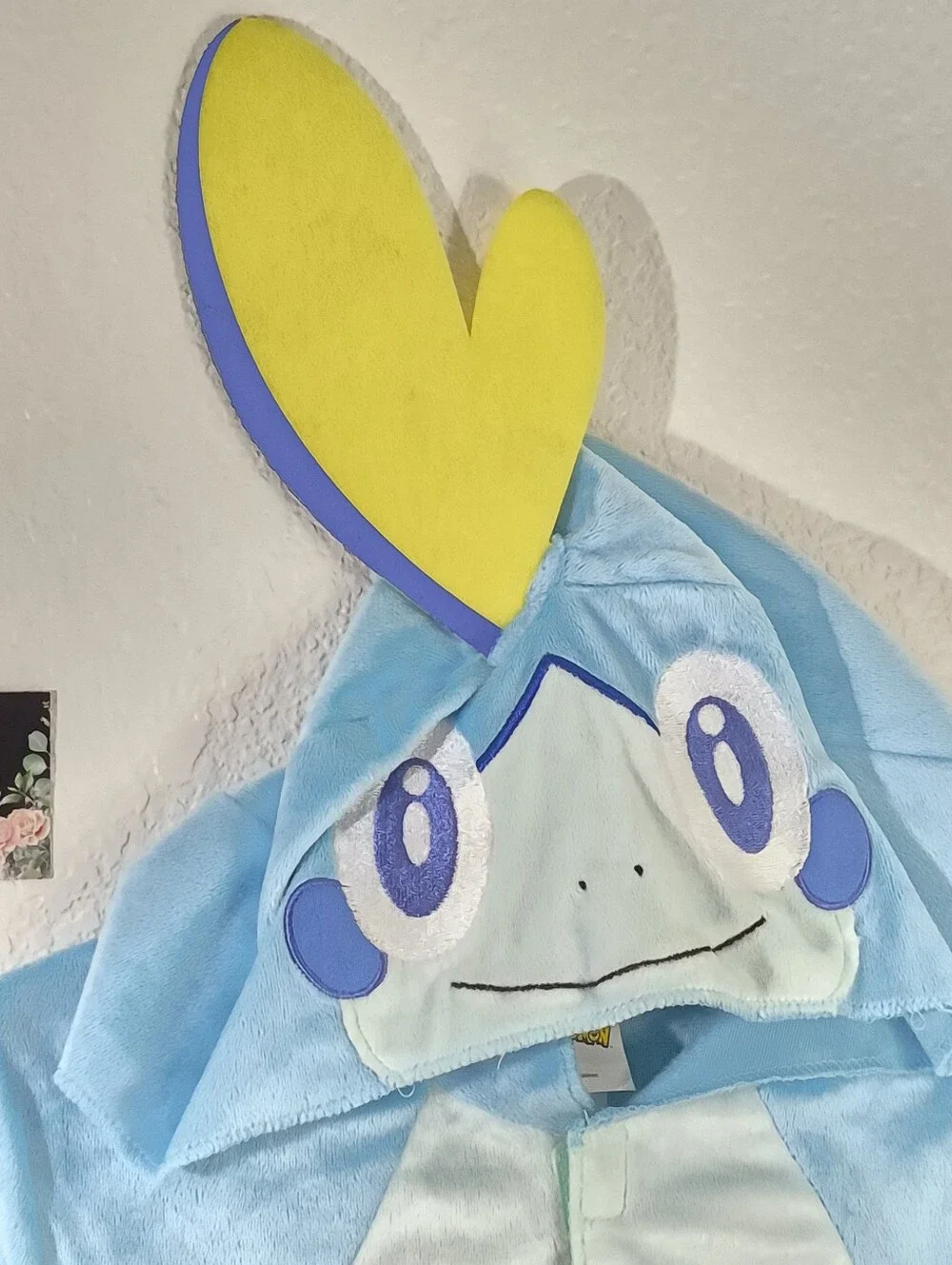 Pokemon Halloween Costume For Sale